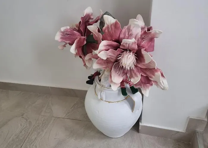 Infinity 公寓 贝尔格莱德